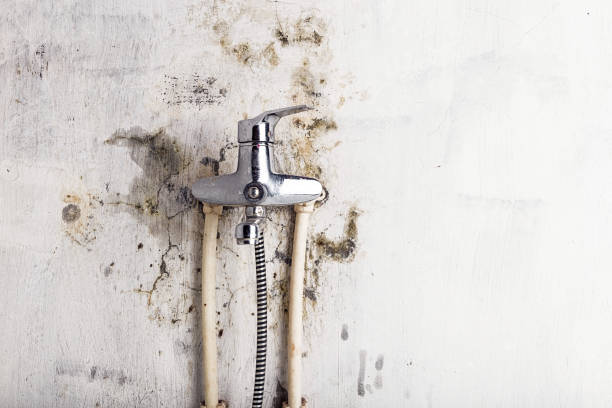 Best Localized Mold Remediation (e.g., coastal areas, humid climates) in Riverside, MO