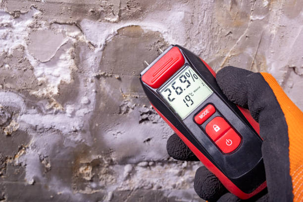 Best Crawl Space Mold Remediation in Riverside, MO